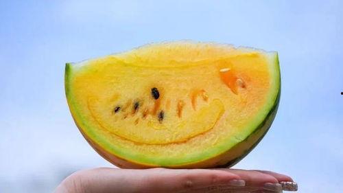 我们云南人吃瓜,瓜果飘香，舌尖上的云南美食之旅